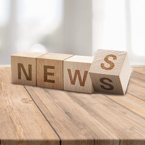 杉木樁用于大樹(shù)保護(hù)有哪些具體的作用？